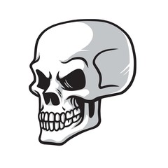 Skull Vector Cartoon Drawing Icon Illustration Clipart