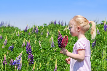 Mädchen pflückt Blumen auf einer Blumenwiese