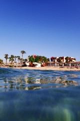 beach in the egypt