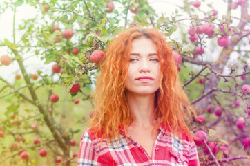 Portrait of a girl with red hair in the garden of apples. Large fruits on the tree. Autumn calmness.