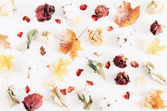 Autumn creative composition. Pattern made of dried autumn leaves, dried rose, cotton flowers on white background. Autumn, fall modern concept. Flat lay, top view 