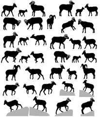 Collection of silhouettes of bighorn sheeps, rams and lambs