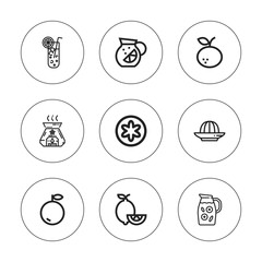 Collection of 9 outline citrus icons