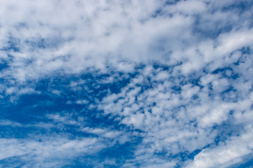 Obraz premium blue sky with white clouds