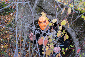 Horrible creature in the autumn forest in the evening. Happy Halloween. Pumpkinhead.