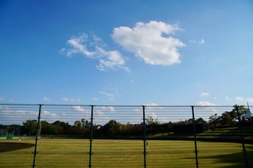Fototapeta premium 青空