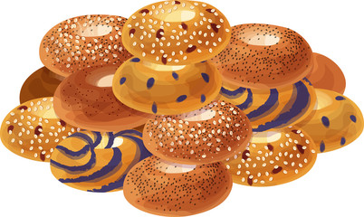 Cinnamon Sugar, Poppy Seed, Everything, Blueberry, Cranberry and Oat, and Blueberry Swirl Bagels Grouped in a Pile. Isolated vector illustrations.