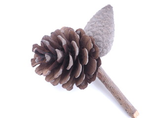 two fused cones on a white background