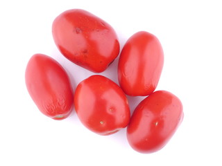 tomatoes in dots on a white background