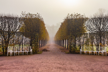 Catherine Park in Pushkin, St. Petersburg, Russia