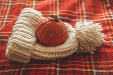 Happy Thanksgiving concept.Beautiful pumpkin, hat, on plaid red. Seasons greetings. Cozy autumn.