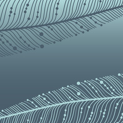 Hand drawn feathers set. Cute Vector illustration.