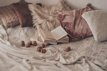 Fototapeta na wymiar Warm interior of the living room with an open book with walnuts. Read, Rest. winter weekend concept. Cozy autumn or winter concept