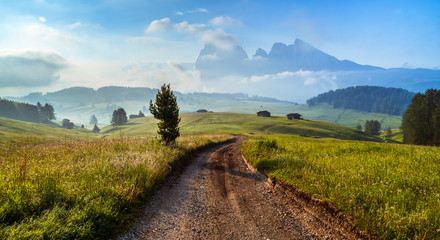 Seiser Alm (Alpe di Siusi) with Langkofel mountain at sunrise in summer, Italy