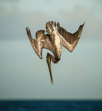 Bonaire