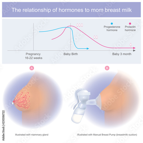 hormones in breast Casual in las sex vegas