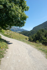 Fototapeta na wymiar Road to Montgarri in the valley of Aran