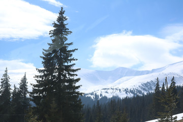 Ukrainian Carpathian mountains in winter. Dragobrat View from the top. Snow drops Winter fairy tale. Traveling