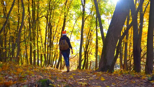 Woman walking by the autumn forest path way