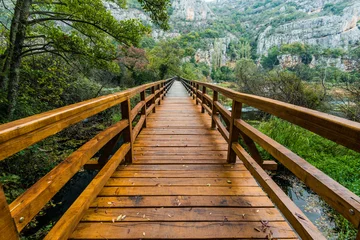 Fotobehang Wooden bridge in Krka National Park,Croatia © marcin jucha