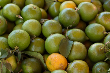 not fresh tale lemon fruits background texture tropic food concept 