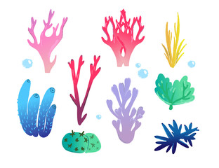 Hand drawn corals. Colored vector set. All elements are isolated