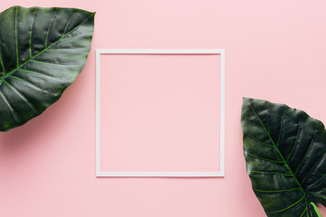  top view of white square and palm leaves on pink, minimalistic concept