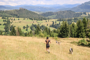 Fototapeta na wymiar Husky walk in the nature. The girl is playing with two dogs. Traveling with dogs.Ukrainian mountains of Carpathians. Travel to the mountains.