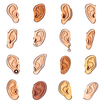 Ear vector human eardrum ear rope hearing sounds or deafness and listening body part illustration sensory set female ears with earrings ear-rings isolated on white background
