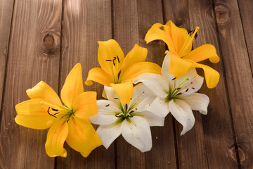 Obraz na płótnie Canvas buds of white and yellow lilies on a wooden background