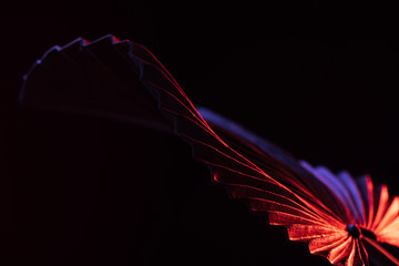 toned image of beautiful tropical leaf with red lighting isolated on black
