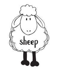 Sheep letters and vector illustration of sheep.