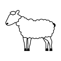 sheep cartoon animal wild life