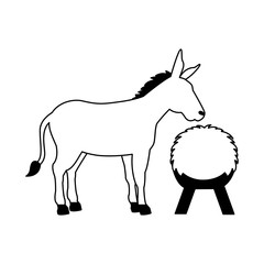 donkey and hay on white background
