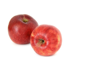 Apples on white background
