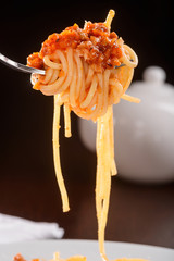 Fork with a Bolognese