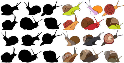 snail in realistic style
