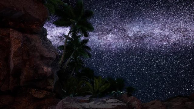 4K hyperlapse astrophotography star trails over sandstone canyon walls and palms