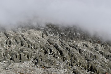 Foggy glacier in Hailuogou valley, Sichuan, China 