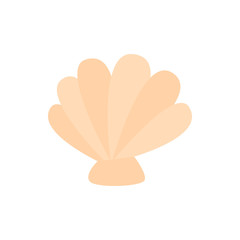 shell vector illustration