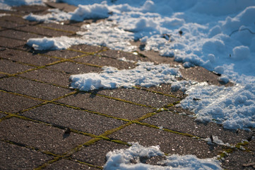 Ботанический сад