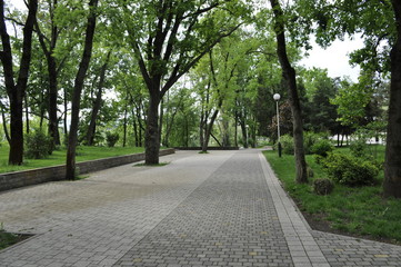 A park