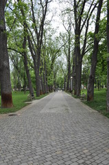 A park
