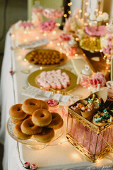 Fototapeta na wymiar Candy bar beautifully decorated with sweets in a vintage event.