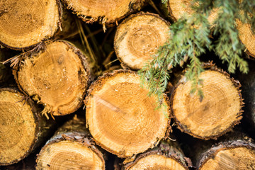 Cut logs stacked, Background.