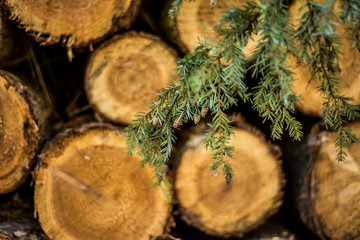 Cut logs stacked, Background.