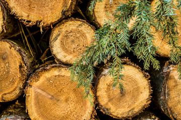 Cut logs stacked, Background.