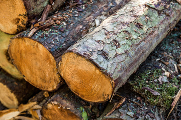Cut logs stacked, Background.