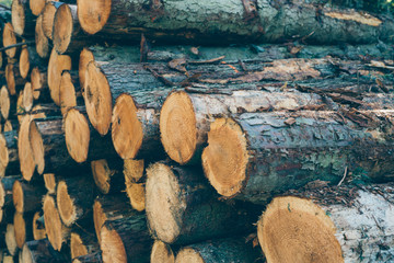 Cut logs stacked, Background.