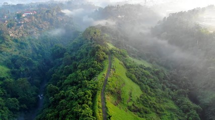 Aerial view flying backwards of a path surrounded by green and forest at sunrise. The place is called Campuhan, situated in Ubud, Bali, Indonesia